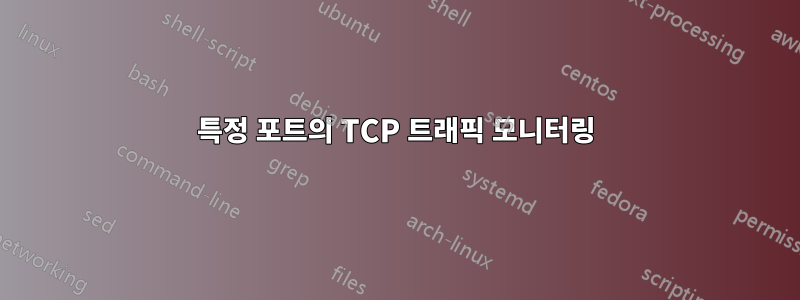 특정 포트의 TCP 트래픽 모니터링