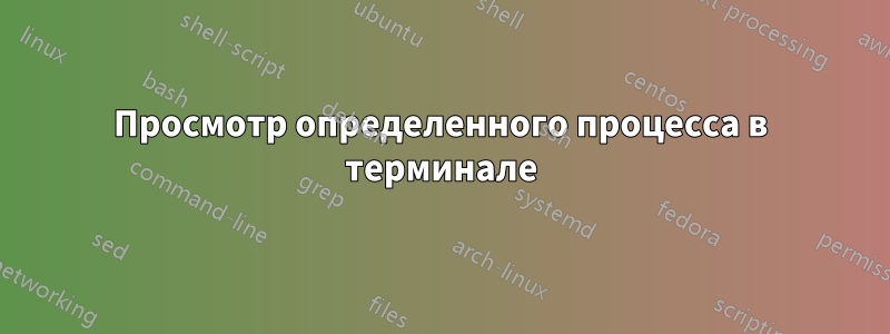 Просмотр определенного процесса в терминале