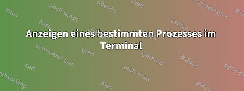 Anzeigen eines bestimmten Prozesses im Terminal