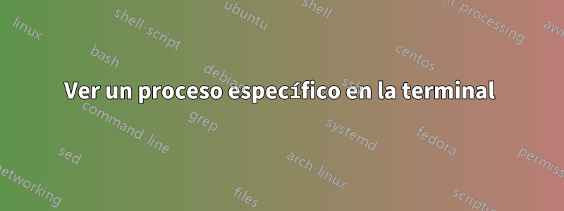 Ver un proceso específico en la terminal