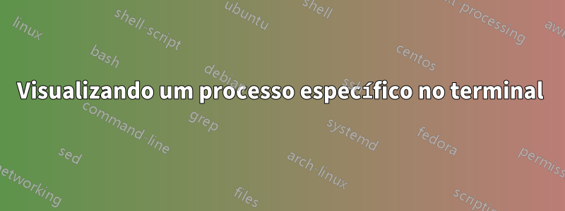 Visualizando um processo específico no terminal