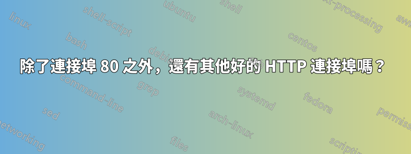 除了連接埠 80 之外，還有其他好的 HTTP 連接埠嗎？