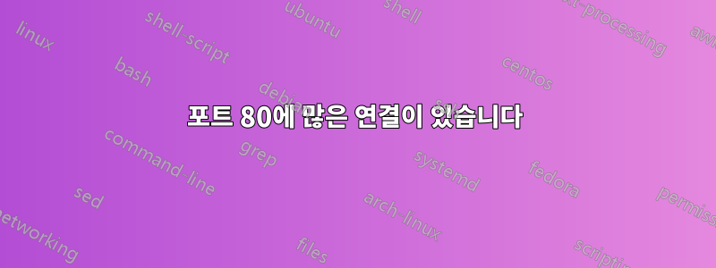 포트 80에 많은 연결이 있습니다