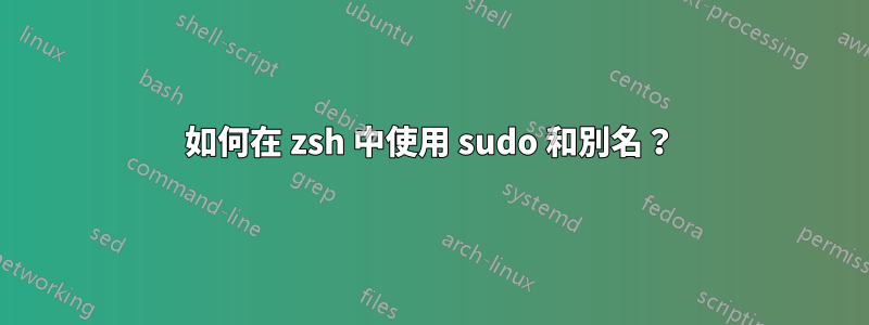 如何在 zsh 中使用 sudo 和別名？