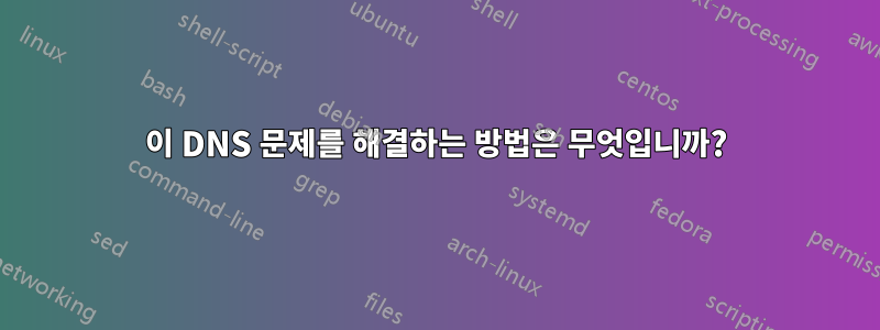 이 DNS 문제를 해결하는 방법은 무엇입니까?