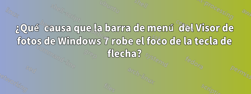 ¿Qué causa que la barra de menú del Visor de fotos de Windows 7 robe el foco de la tecla de flecha?