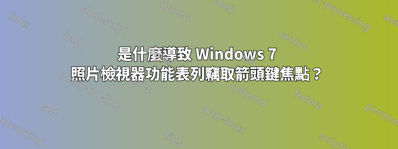 是什麼導致 Windows 7 照片檢視器功能表列竊取箭頭鍵焦點？