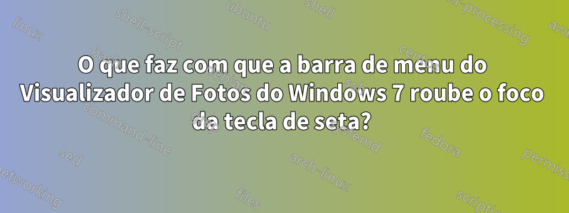 O que faz com que a barra de menu do Visualizador de Fotos do Windows 7 roube o foco da tecla de seta?