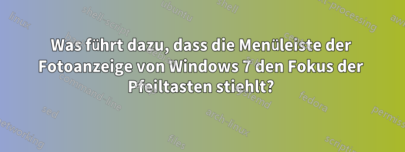 Was führt dazu, dass die Menüleiste der Fotoanzeige von Windows 7 den Fokus der Pfeiltasten stiehlt?