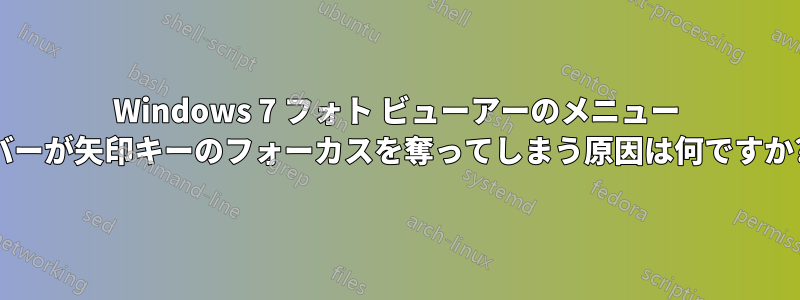 Windows 7 フォト ビューアーのメニュー バーが矢印キーのフォーカスを奪ってしまう原因は何ですか?