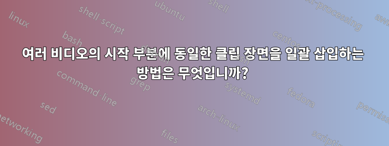 여러 비디오의 시작 부분에 동일한 클립 장면을 일괄 삽입하는 방법은 무엇입니까?