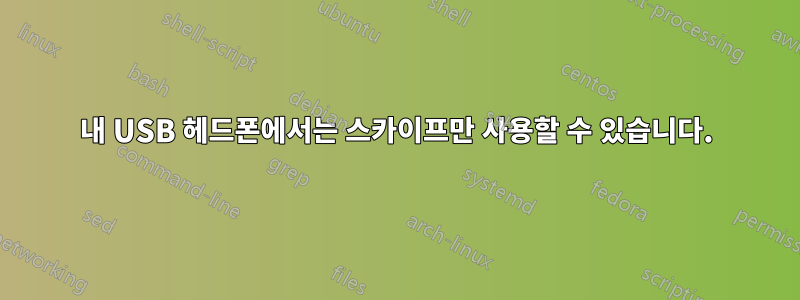 내 USB 헤드폰에서는 스카이프만 사용할 수 있습니다.