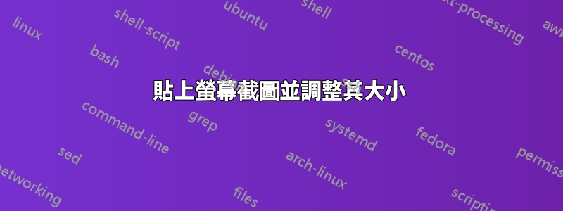 貼上螢幕截圖並調整其大小