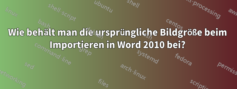 Wie behält man die ursprüngliche Bildgröße beim Importieren in Word 2010 bei?