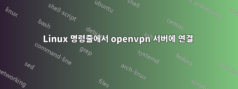 Linux 명령줄에서 openvpn 서버에 연결