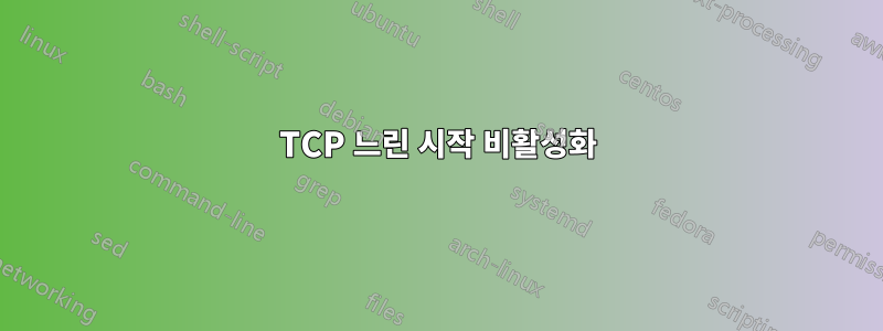 TCP 느린 시작 비활성화