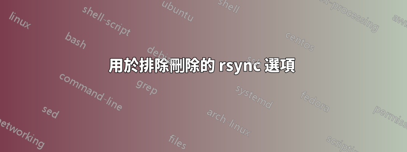 用於排除刪除的 rsync 選項