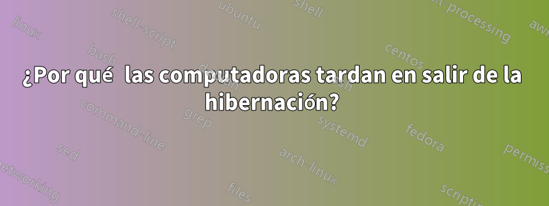 ¿Por qué las computadoras tardan en salir de la hibernación?