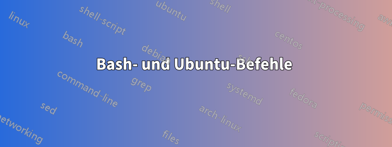 Bash- und Ubuntu-Befehle