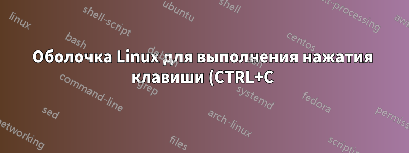 Оболочка Linux для выполнения нажатия клавиши (CTRL+C)