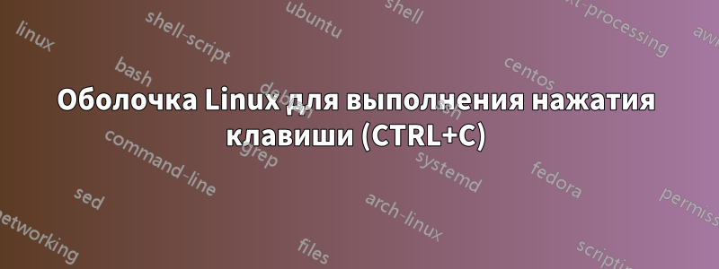 Оболочка Linux для выполнения нажатия клавиши (CTRL+C)