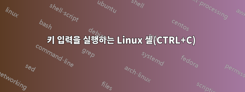 키 입력을 실행하는 Linux 셸(CTRL+C)