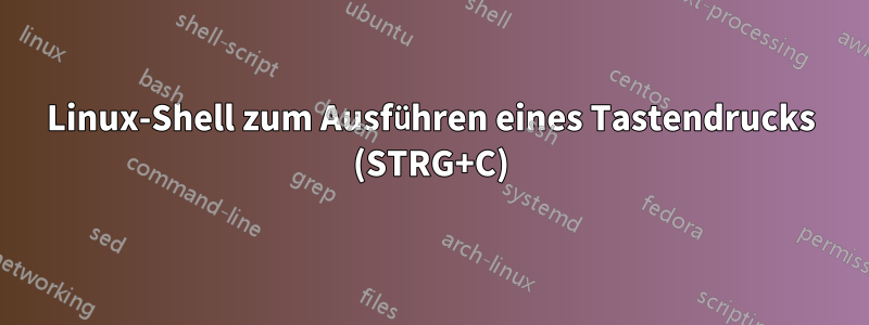 Linux-Shell zum Ausführen eines Tastendrucks (STRG+C)