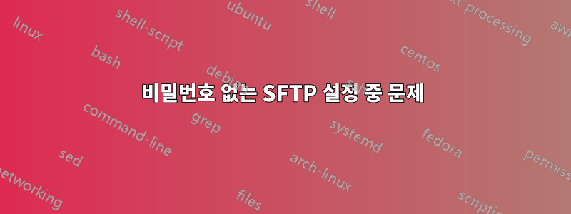 비밀번호 없는 SFTP 설정 중 문제