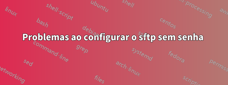 Problemas ao configurar o sftp sem senha