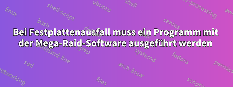 Bei Festplattenausfall muss ein Programm mit der Mega-Raid-Software ausgeführt werden