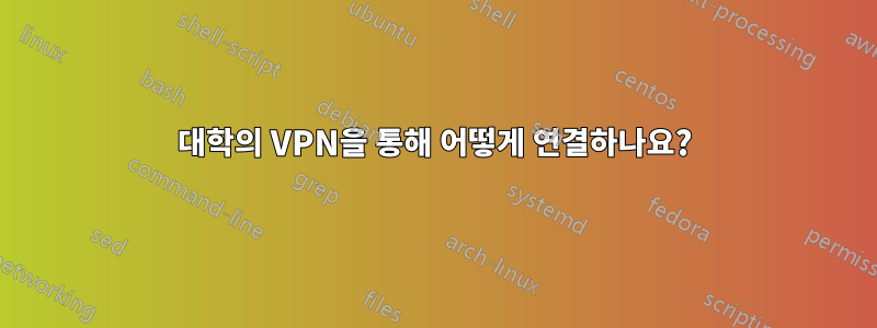 대학의 VPN을 통해 어떻게 연결하나요?