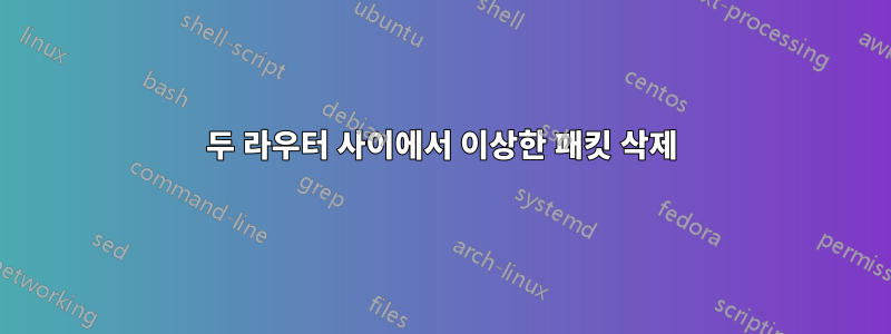 두 라우터 사이에서 이상한 패킷 삭제