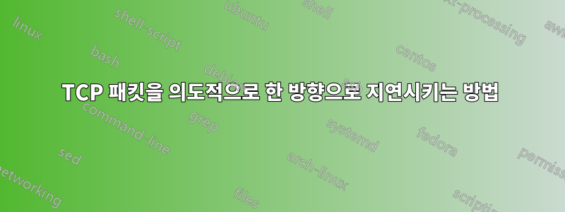 TCP 패킷을 의도적으로 한 방향으로 지연시키는 방법