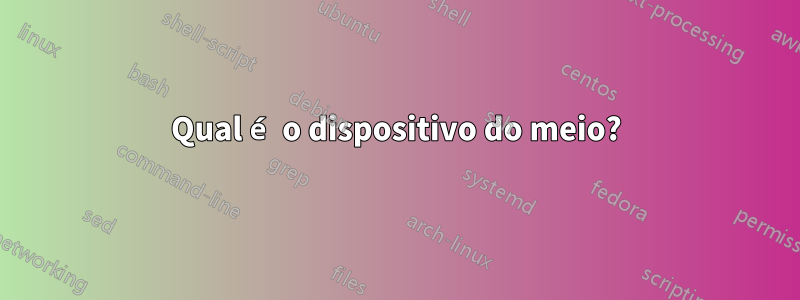 Qual é o dispositivo do meio?