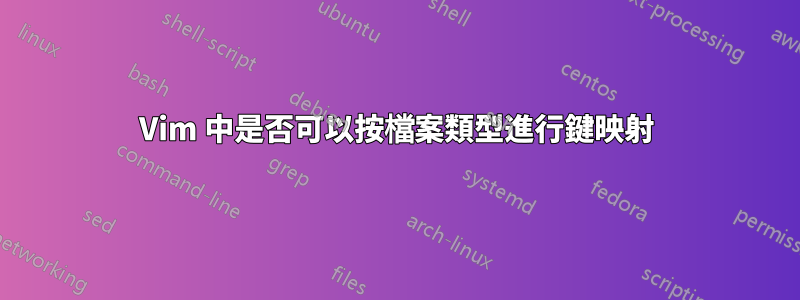 Vim 中是否可以按檔案類型進行鍵映射