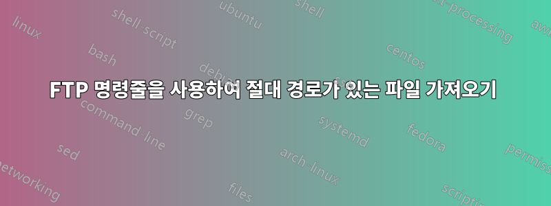 FTP 명령줄을 사용하여 절대 경로가 있는 파일 가져오기