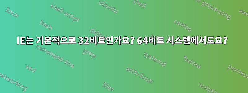 IE는 기본적으로 32비트인가요? 64비트 시스템에서도요? 