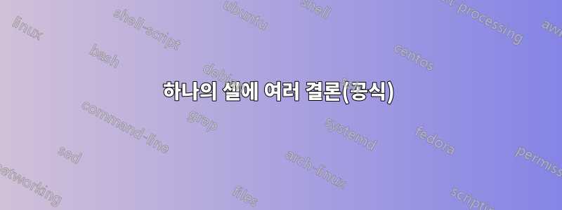 하나의 셀에 여러 결론(공식)