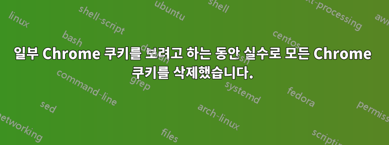 일부 Chrome 쿠키를 보려고 하는 동안 실수로 모든 Chrome 쿠키를 삭제했습니다.