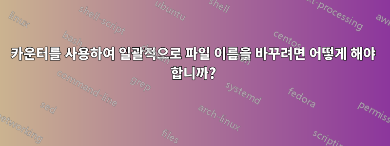 카운터를 사용하여 일괄적으로 파일 이름을 바꾸려면 어떻게 해야 합니까?