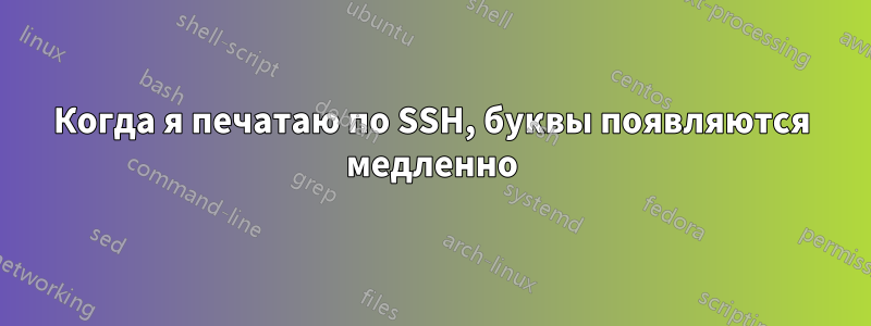 Когда я печатаю по SSH, буквы появляются медленно