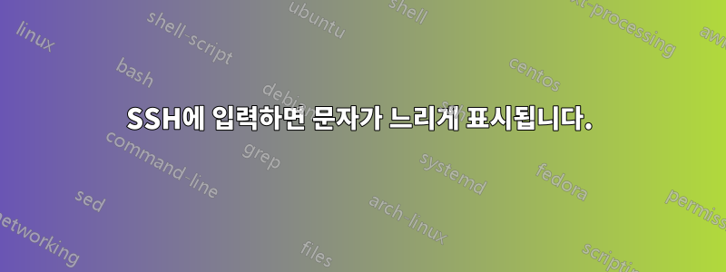 SSH에 입력하면 문자가 느리게 표시됩니다.