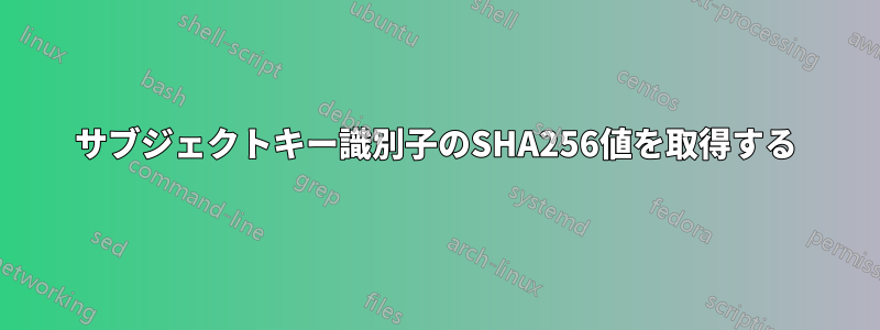 サブジェクトキー識別子のSHA256値を取得する