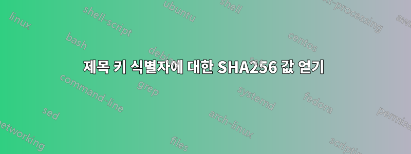 제목 키 식별자에 대한 SHA256 값 얻기