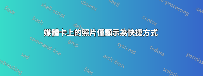 媒體卡上的照片僅顯示為快捷方式