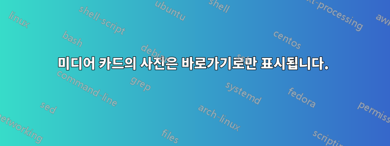 미디어 카드의 사진은 바로가기로만 표시됩니다.