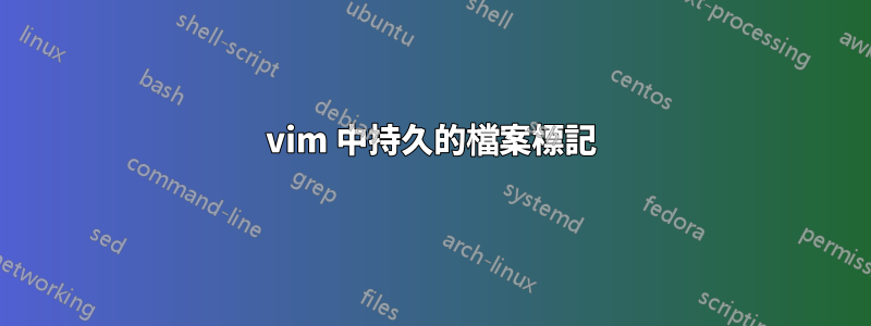 vim 中持久的檔案標記