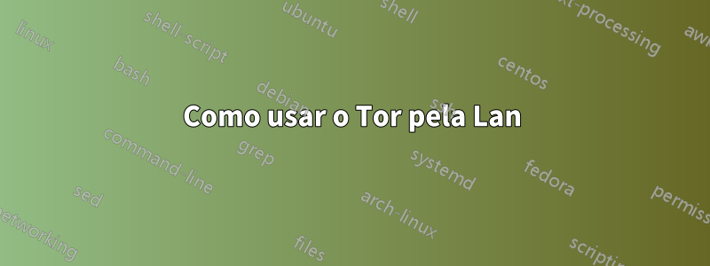 Como usar o Tor pela Lan