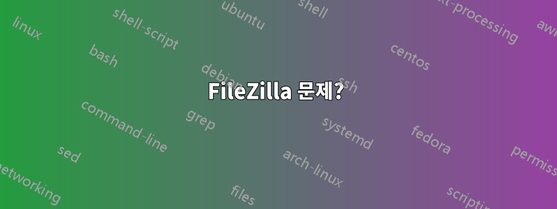 FileZilla 문제?