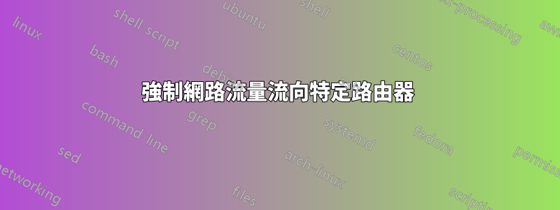 強制網路流量流向特定路由器